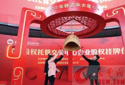 公司在武漢股權托管交易中心成功掛牌