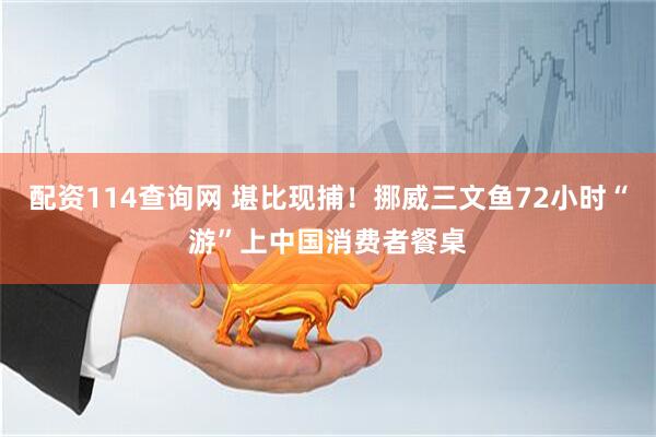 配资114查询网 堪比现捕！挪威三文鱼72小时“游”上中国消费者餐桌