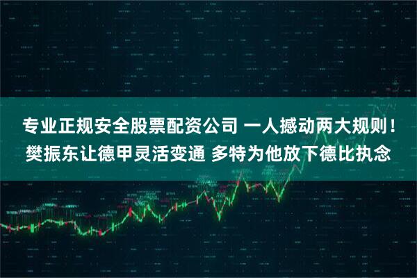 专业正规安全股票配资公司 一人撼动两大规则！樊振东让德甲灵活变通 多特为他放下德比执念