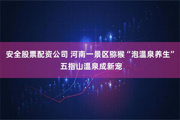 安全股票配资公司 河南一景区猕猴“泡温泉养生” 五指山温泉成新宠
